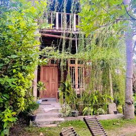 Coconut Island Yala