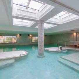 Hotel Tamiš & Spa, отель в городе Панчево