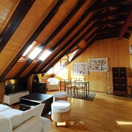 Misalas, Ski y montaña petfriendly - Arafita Apartamentos