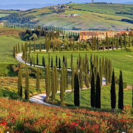 Agriturismo Baccoleno、アシャーノのホテル