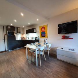 Appartement familial 4 pers au pied des pistes, animaux admis