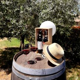 L'Olivo nel Chianti，奎爾斯格羅薩的飯店