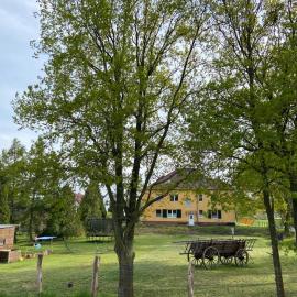 Gelbes Haus Seenland Ferienwohnungen XL