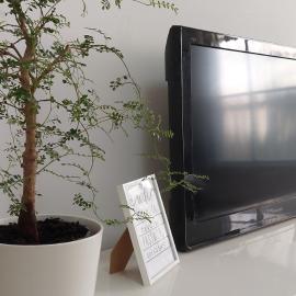 הנביאים 1 נתניה Naveim apartment