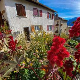 Appartement typique avec Carnotzet