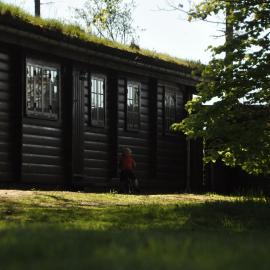 Log-House Wildernest, hotel in Brande