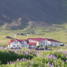 Lysuholl, hotel di Snæfellsbær