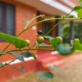 THEERTHAMKARA Staycation