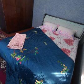 Private Courtyard Cozy House, hotel in Tashkent
