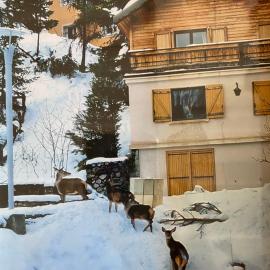 CHALET FAMILIAL AURON, hotell i Auron