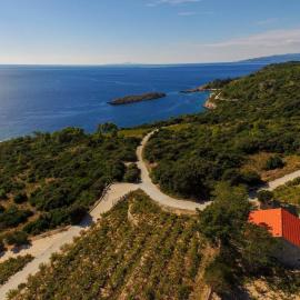 Holiday home in vineyard paradise Dingač Pelješac, hotel a Potomje