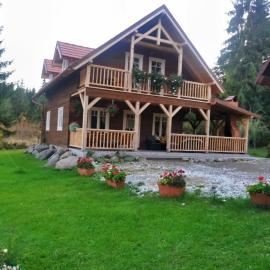 Cabana Katica 2 vendégház, hotel in Borzont