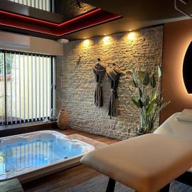 Loft TinPanAlley avec SPA - Marais Poitevin entre Niort et La Rochelle