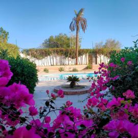 Lux Gardenhouse pool WiFi Private garden Hurghada