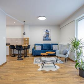 VIP Apartamenty Wieniawskiego