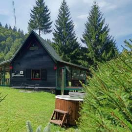 Schwarz Kabin, hotell i Neagra