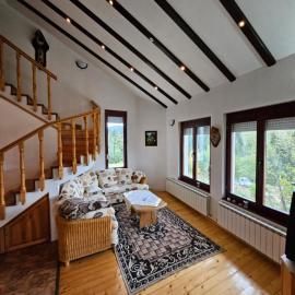 Villa Dilyanka Stokite
