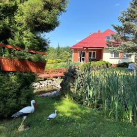 Willa u Bociana, hotel u gradu Siemianówka
