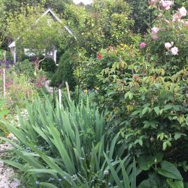 Hahei Kereru Cottage, hotelli kohteessa Hahei