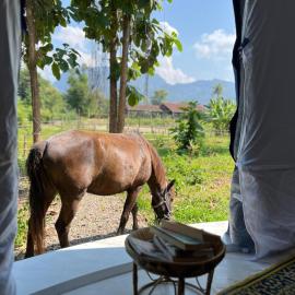 NamKhan Horse Stable, hotel in Luang Prabang