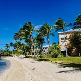 Caribbean Escape Coco & Mango, Hotel in Baie Nettle