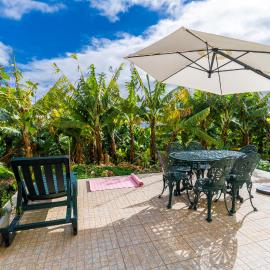 Sleep Among the Bananas! Rustic Cottage with Trails at Your Doorstep, hôtel à Ponta do Sol