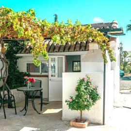 Tiny house 12m2 "ANTON PIECK" in holiday park with 55 m2 pool, hotel Toloxban