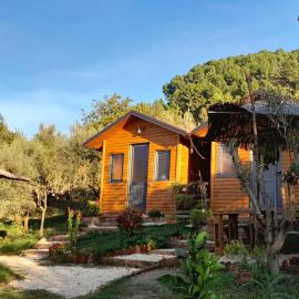 bujtina Musta, Hotel in Berat