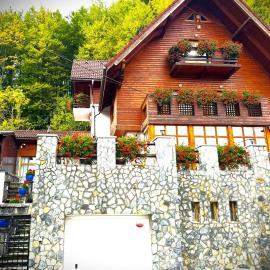 Villa Alisio Sinaia