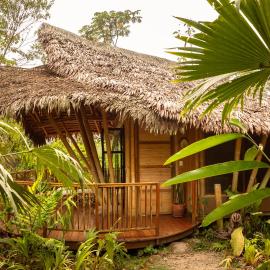 Bosque Guardian Lodge, hotel in Tarapoto