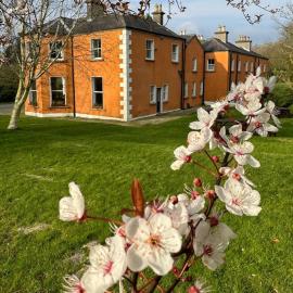Clone Country House - Private Event Centre, hotel Aughrimban