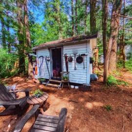 The Stabbin Cabin on Grant Island, Brantingham Lake - HotTub, Boat, Pet Friendly, hotel din Glenfield