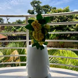 Hidden beautiful Modern Apartment, hotell i Entebbe