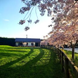 Rural Eco Escape in Hamilton Getaway with EV, hotel in Matangi