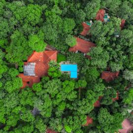 Greenwoods Thekkady - A Five Star Classified Resort, Hotel in Thekkady