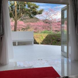 Sea Shell Kawazu House, hotel v destinaci Kawazu