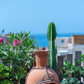 Anza surfhouse, hotell i Agadir