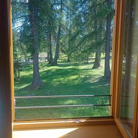Bellamonte Villa Larici primo piano