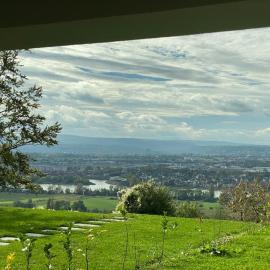 Panorama-Paradies im Rheintal