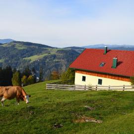 Almferienhaus Russmann, hotel a Frantschach