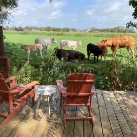RUSTIG landelijk chalet met panoramaview & comfort, hotel sa Dronrijp