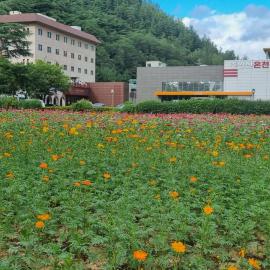 Juwang Mt Oncheon Tourist Hotel, hotel em Cheongsong