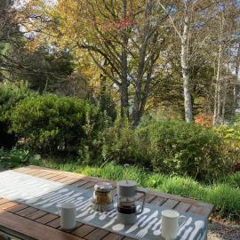 Bramber Cottage Hogsback, Living With Joy!, viešbutis mieste Hogsbekas