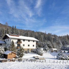 Ferienhaus Schäfer - Apartments - Wintersports - Family holiday - Holiday with your dog - Rural & Scenic, hotel a Flattnitz