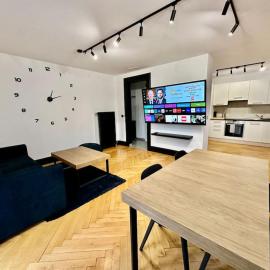 Cosy apartment in Lausanne