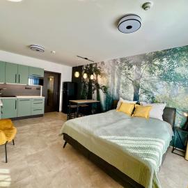 Luxusní Apartmány Krumlovský Vltavín