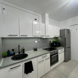 Picúr és Manó Apartmanjai- Picúr Apartman és Manó Apartman, hotel in Baja