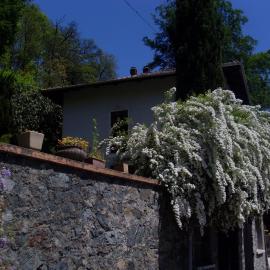 Ai 4 Gatti B&B, hotel Camandona városában