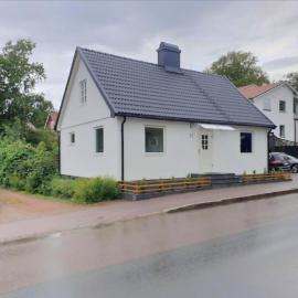 fågel