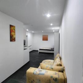 Modernes einzimmer Apartment